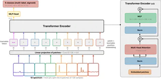 ViT-1D architecture: patch tokenisation, learnable CLS token, Transformer encoder, classification head